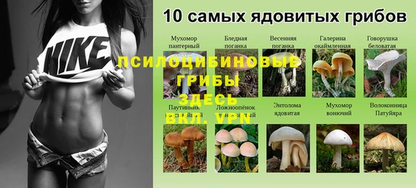 наркотики Каменка