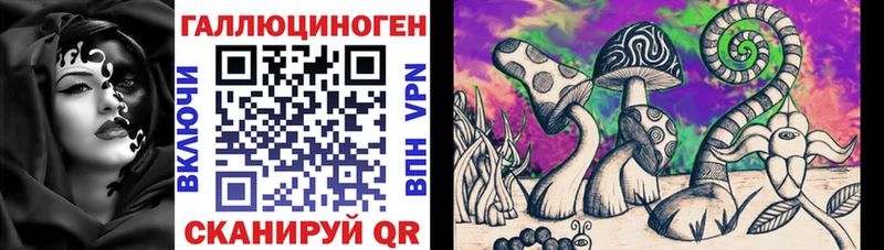 Купить  Камешково  Псилоцибиновые грибы Cubensis 