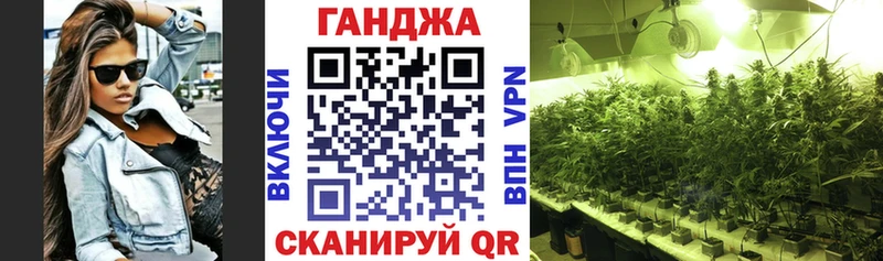 Купить где  Камешково  Бошки марихуана Bruce Banner 